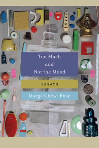 Amazoncom: Too Much and Not the Mood: Essays