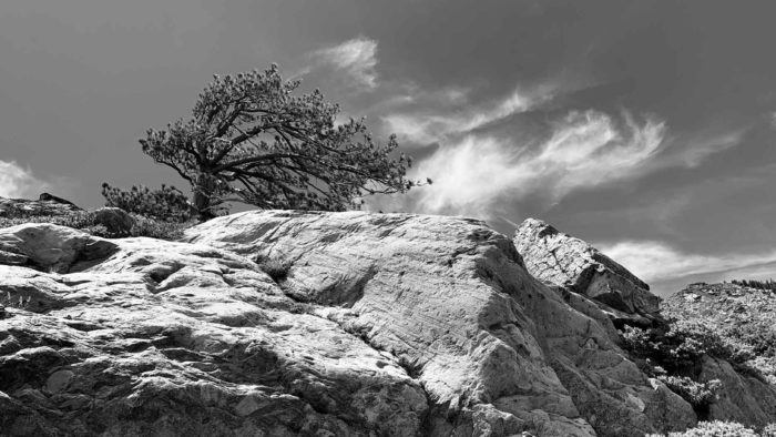 Transposing © Kathryn Jordan