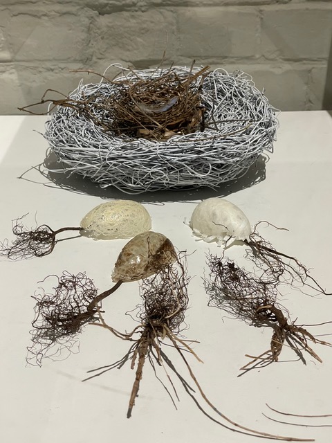Elaine Whittaker and Kelley Aitken, Untitled, first exhibited in Filamentous, an exhibition by Elaine Whittaker and Kelley Aitken, 2022. Commercially manufactured nest of grapevine, painted white, feather, bird’s nest. Roots and Eggs: dried plant roots, papier mâché, thread, snakeskin, 12" x 15" x 4"