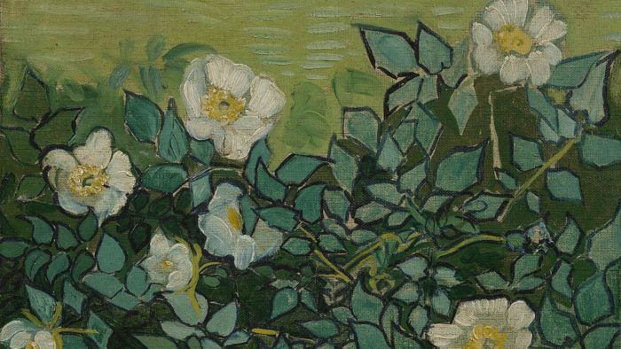 Wilde rozen by Vincent van Gogh, Public domain, via Wikimedia Commons