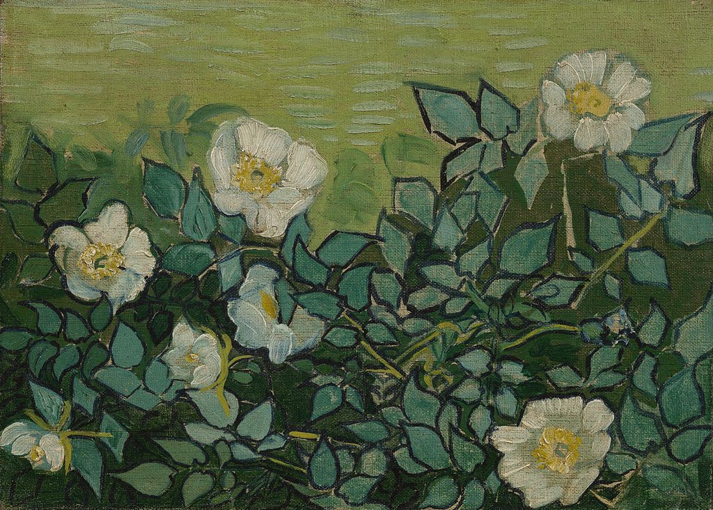 Wilde rozen by Vincent van Gogh, Public domain, via Wikimedia Commons