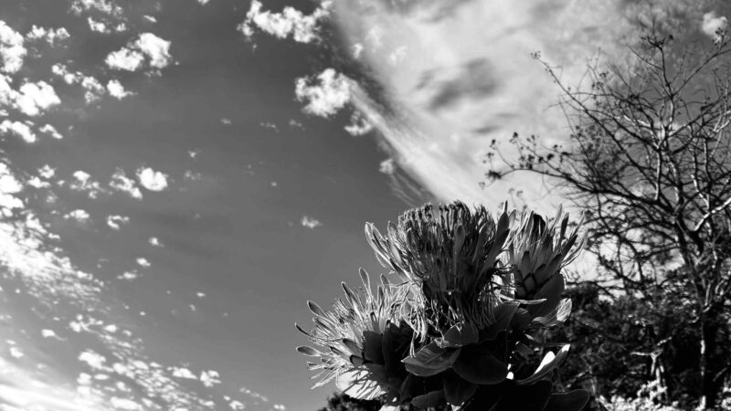 Desert sky © Kathryn Jordan