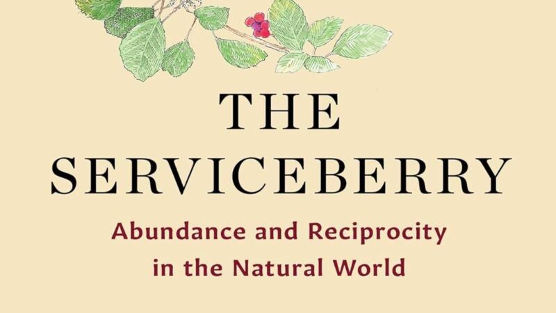 The Serviceberry: Abundance and Reciprocity in the Natural World by Robin Wall Kimmerer, illustrated by John Burgoyne (Scribner, 2024), 128 pages
