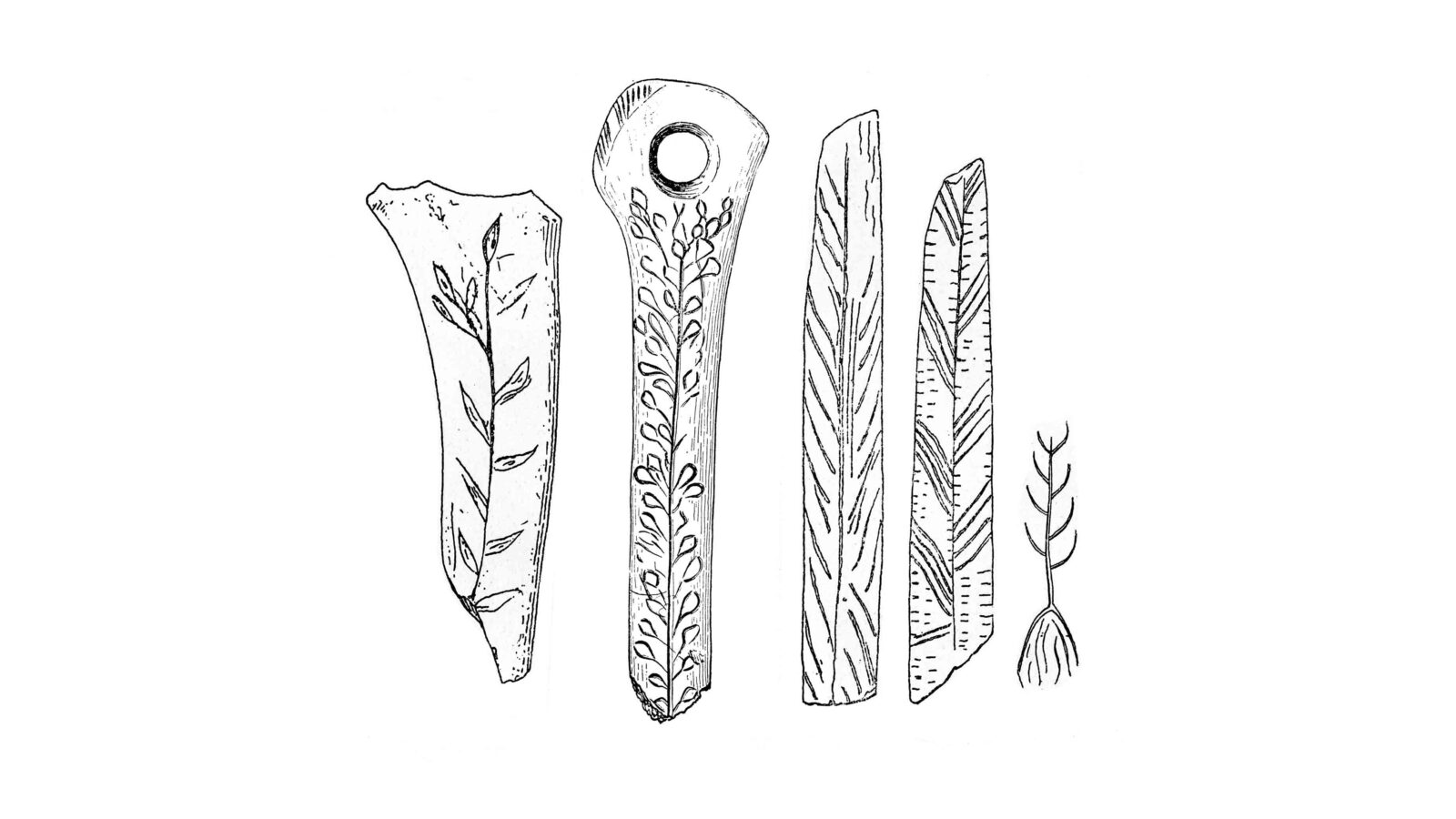 Bones showing carved representations of plants used as food – Source: Wellcome M0014976, CC BY 4.0 