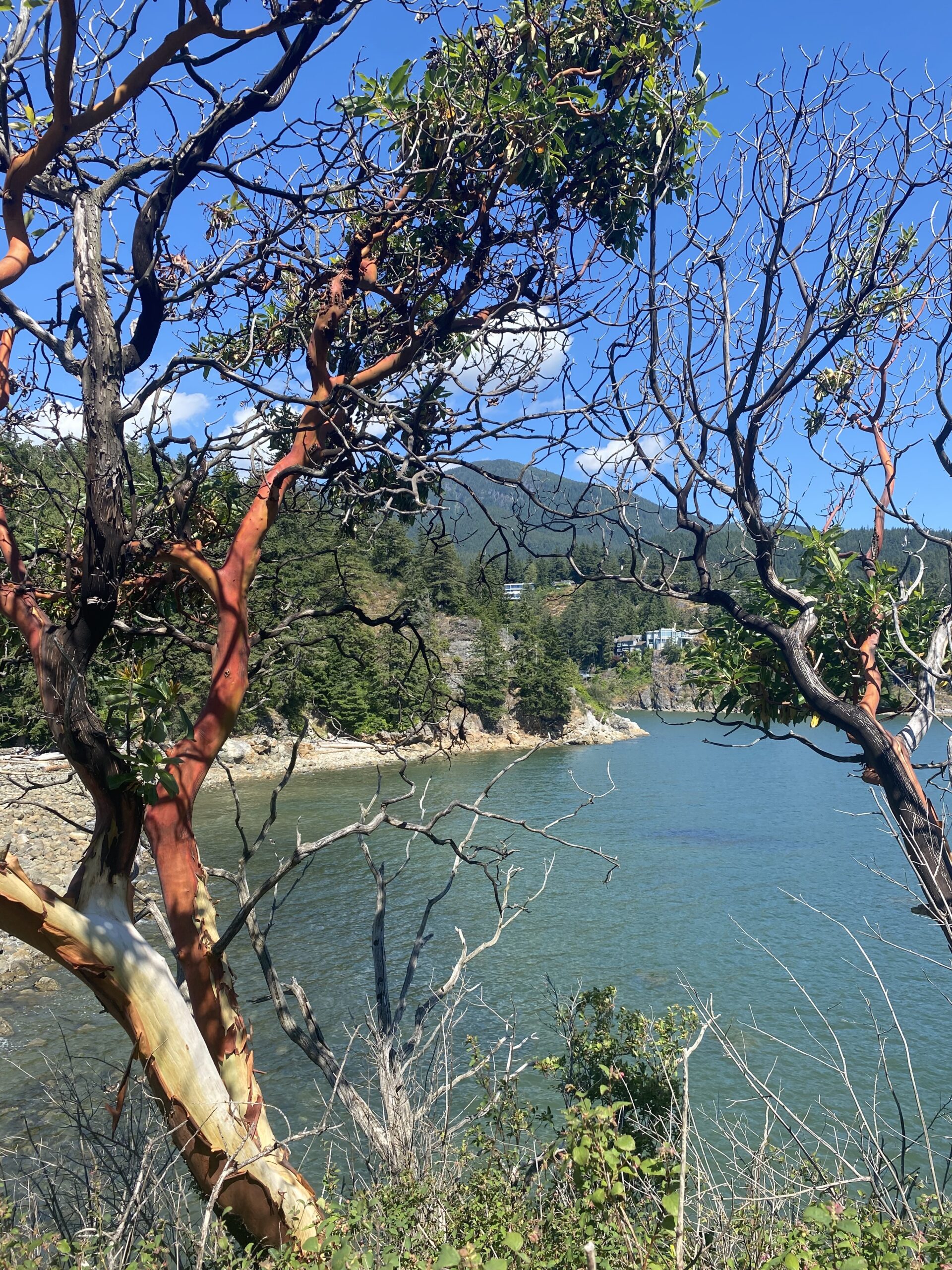 Bodies of Water